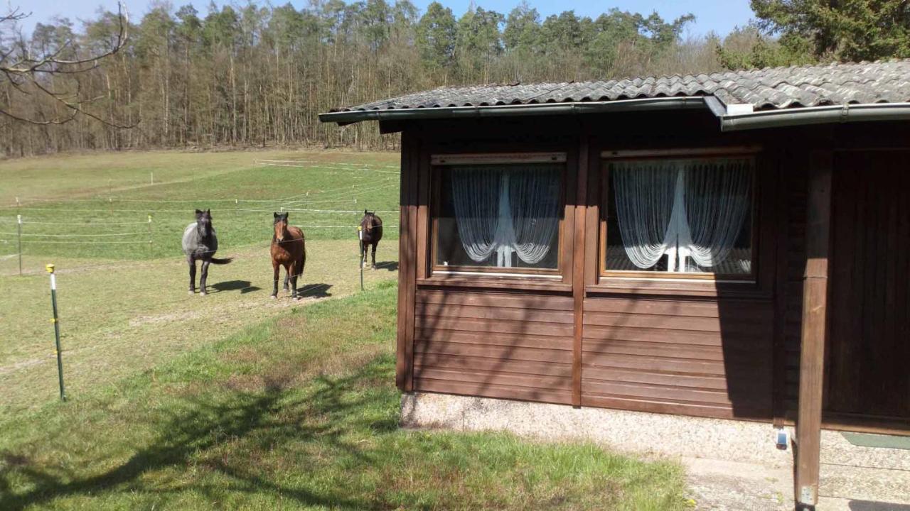 Reitstation Rossmuehle Apartment Grafendorf  Exterior photo